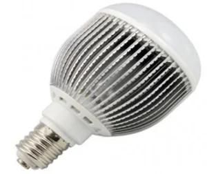 LED Big Bulbs, Light, 30W Bulb