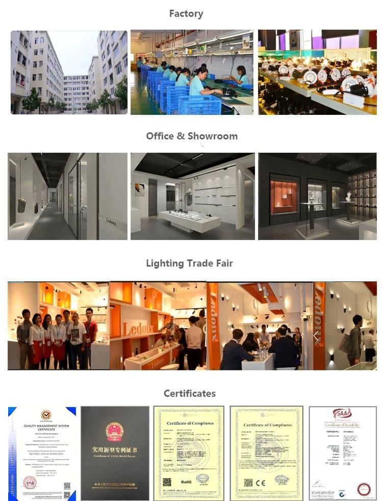 Modern Good Double Lamp Head Quality 2X3w 48V Low-Voltage Magnetic Effortless Installation & Remove Dali Available LED Track Light LED Spot Light