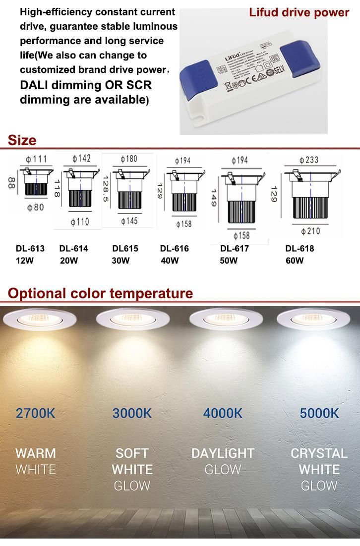 Famous COB Chip Round 12W 20W 30W 40W 50W 60W White 80ra Indoor IP20 Aluminum LED Down Lighting