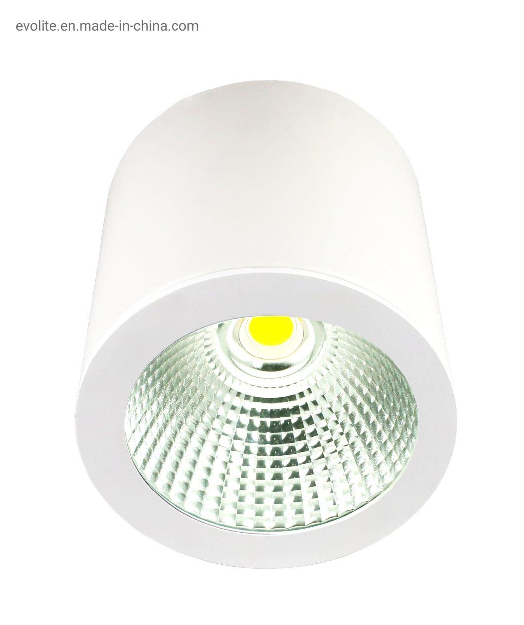 Dali Triac 0-10V Dimming LED Surface Mounting Downlight LED Ceiling Light LED Spot Light LED Light