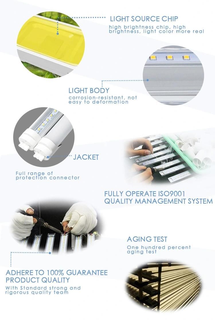 15W 0.9m T8 LED Glass Tube Light with Highest Cost-Effective