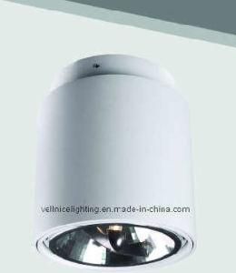 AR111 50W Ceiling Hotel Lighting (C4A0004)