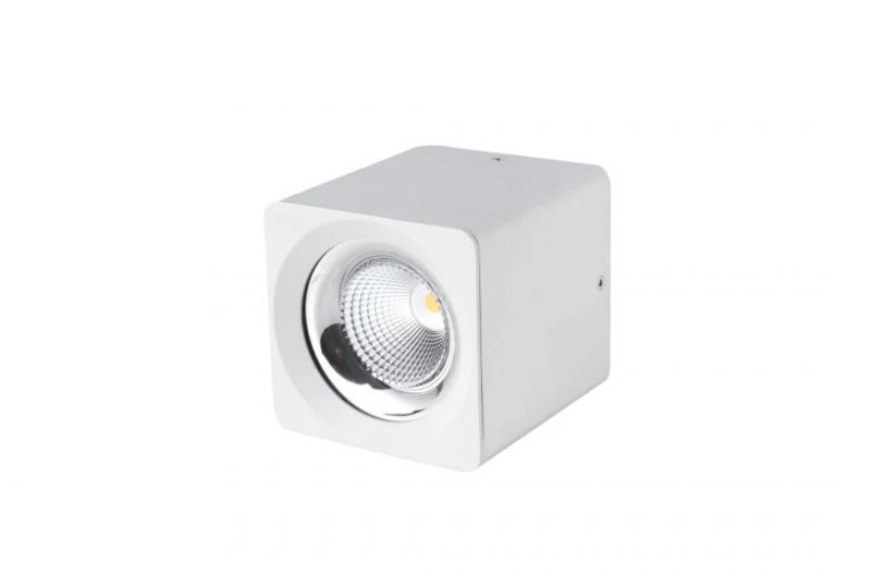 3 Years Warranty 8W Surface Mounted Downlight for Indoor Project IP20