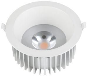 LED Down Light