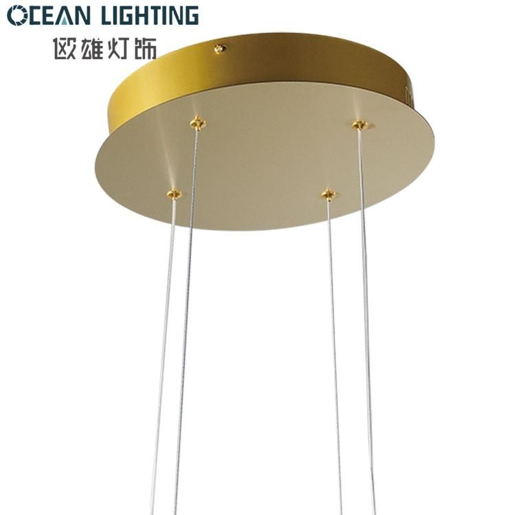 Modern Hotel LED Decorative Pendant Lighting Chandelier Lamp