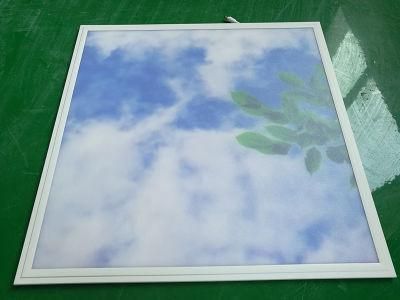 600*600mm 600X1200mm 2X4FT Cover Photo Printed Sky Cloud LED Panel Light