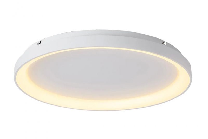 Masivel Factory 36W/48W/60W/80W/100W New Design Bedroom Ceiling Mounted LED Ceiling Light with Spangle