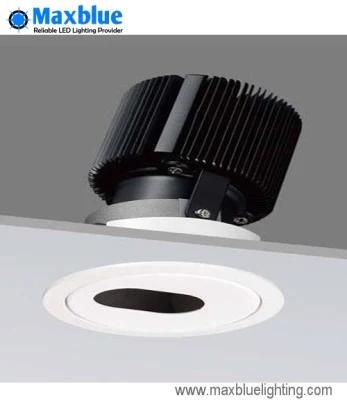 COB LED Down Light Dimmable with Ce RoHS SAA Certificates