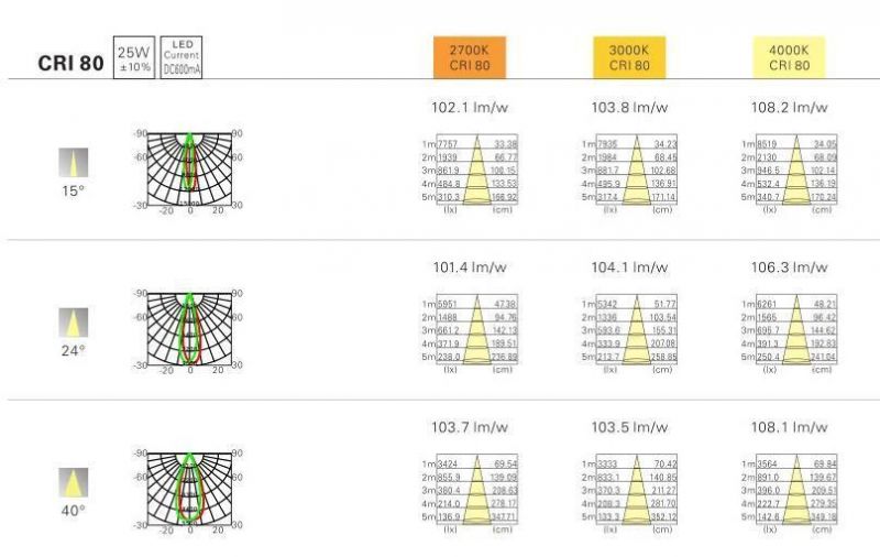 Hot Sale 12W 25W Adjustable COB Recessed Downlight