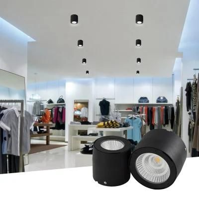 IP65 Waterproof Surface Mounted LED Indoor Spot Light Adjustable Down LED Ceiling Light for 30W Indoor Lamp