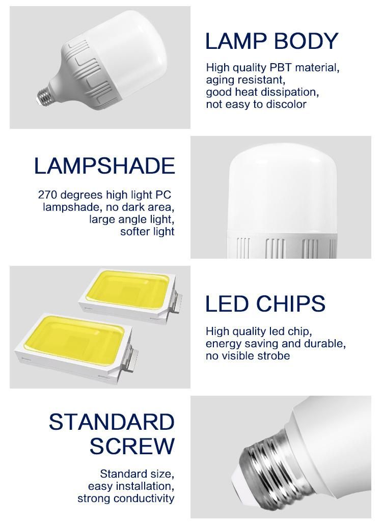 T100 30W E27 Plastic-Coated Aluminum High Power LED Light Bulb