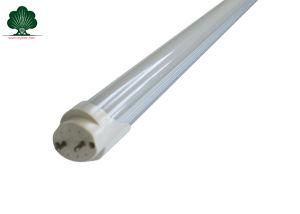 Elliptic Type Tube Light Bulbs (RY-T8-T3528-12W)