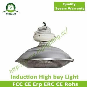 150W~300W Aluminum Constructed Industrial Induction High Bay Light