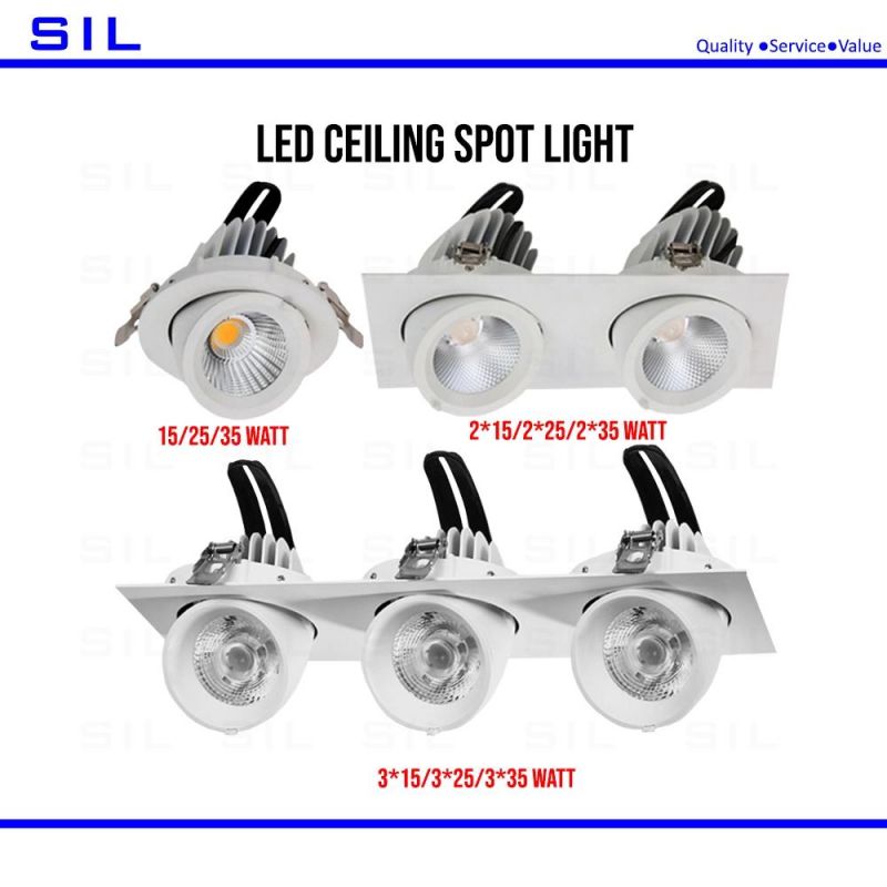 High Quality Modern 2X15W 30W COB Indoor Lighting Recessed Ceiling Spot Light