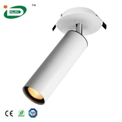 Modern Simple Indoor IP20 COB Cylinder LED Ceiling Lamp with Power Supplier
