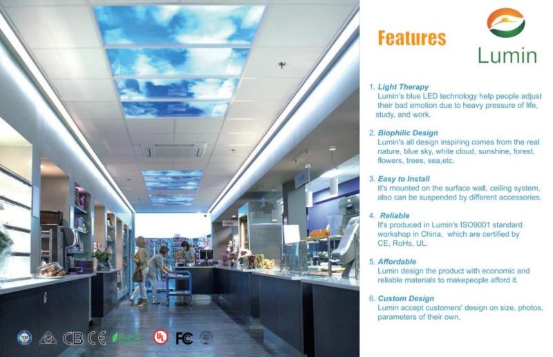 Skylenses Customed Prined LED Panel Light Blue Sky/White Cloud Panel
