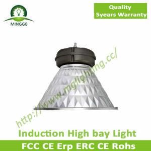 80W~250W Induction High Bay Light