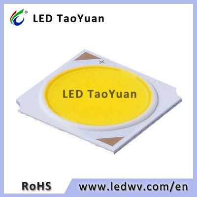 Spot Light Ceiling Light COB LED Chip LED Array 8W