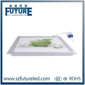 Ultra Slim LED Panel Light with High Quality&Better Price