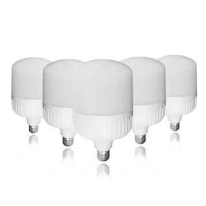 Professional Factory Wholesale Price E27 30W/40W/50W/60W T Shape Bulb SMD2835 LED T Bulb LED Bulb Light