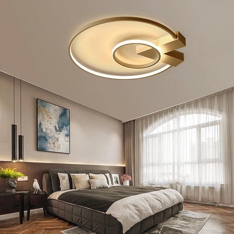 Living Room Decoration LED Indoor Ceiling Light Home Lighting