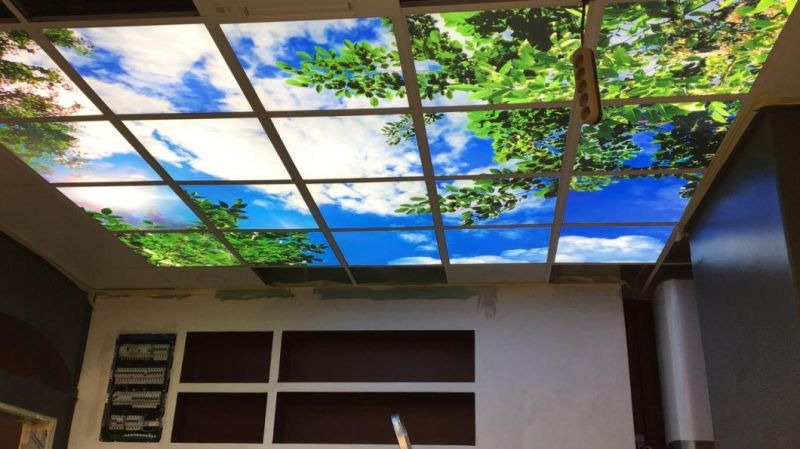 Skylight Picture Customized LED Panel Light for Health Recovery Centre Rehabilitation Centre