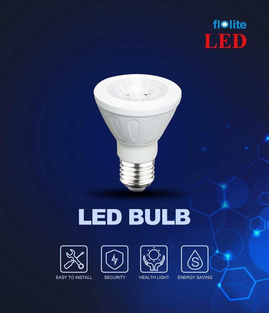 PAR30 LED Bulb