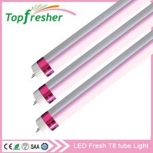 LED Display Cabinet Lighting T8 Pink LED Tubes for Meat