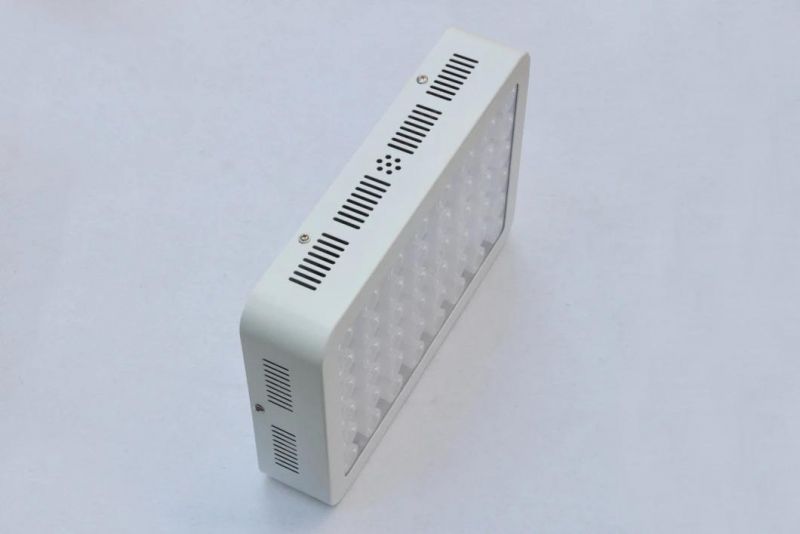Horticulture Full Spectrum 300W Quantum Board LED Grow Light for Medical Plants