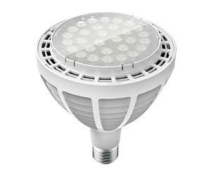 New Pl Lamp PAR38x 60W (IF-PL60024)