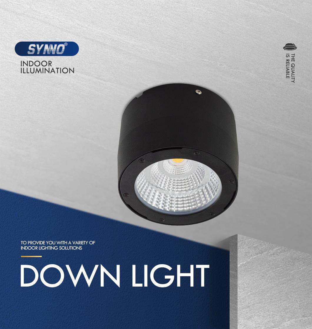 Waterproof LED Down Light 20W 30W Square LED Down Light Aluminum Home LED Down Ceiling Light IP65