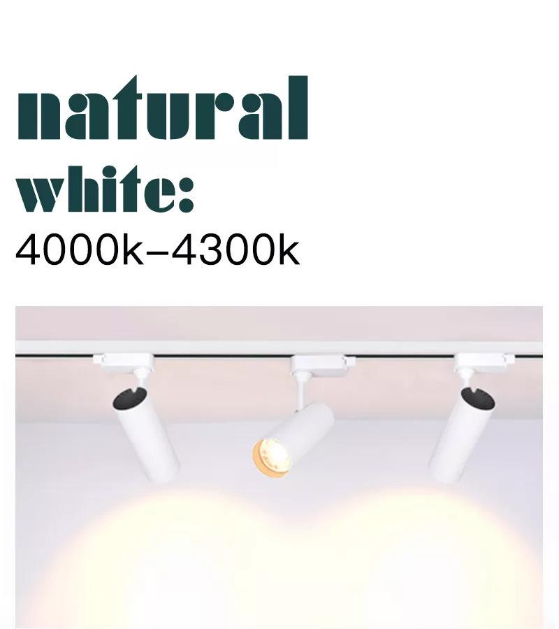 2022 Hot Sale Focus COB LED Track Light 30W Lamp Spot LED Ceiling Light LED Spot Linear Track Lights