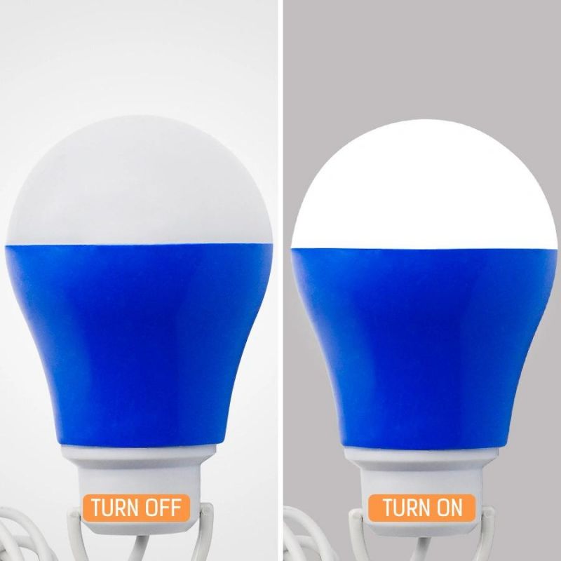 China Manufacture USB 5W Plastic LED Bulb Camping Lamp for 5V Emergency Lighting