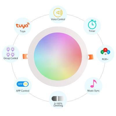 110-240V Cx Lighting Unique Design RGB WiFi Smart Ceiling Light with RoHS