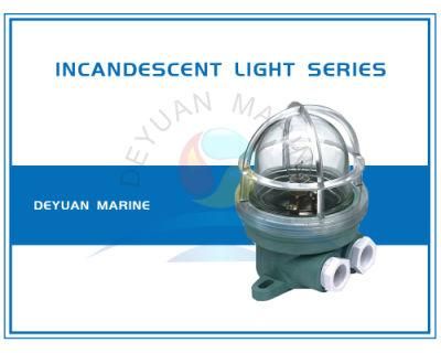 Marine Dq5 Diving Afterangel Light for Boat