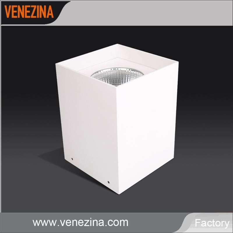 Modern Original Style 20W/25W High Power LED Surface-Mounted Downlight