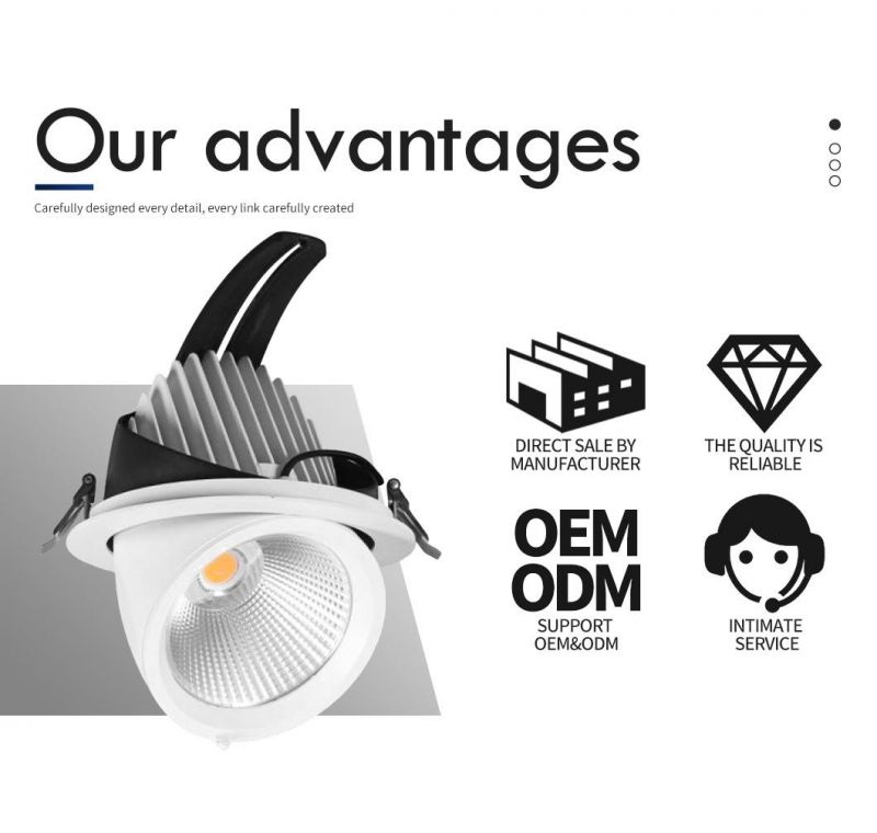10W 20W 30W Aluminum Dimmable LED Down Lights LED Gimbal Exterior Down Light for Indoor Lighting