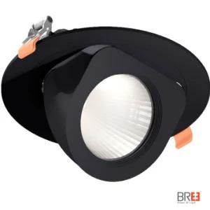 New Factory Price 6.5 Inch 30W Gimbal LED Downlight for Jewelry Shop Lighting
