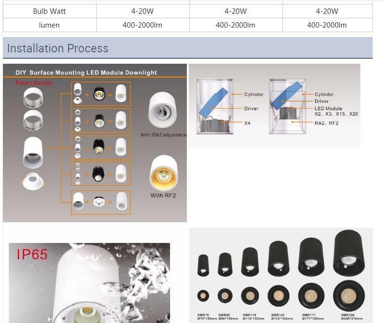 Dali Triac 0-10V Dimming Surface Mounting LED Downlight LED Ceiling Light LED Spot Light LED Light