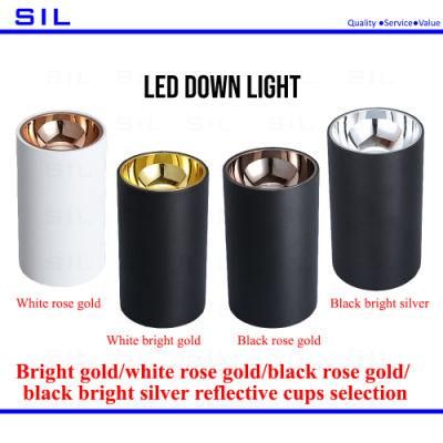 Gold/ Rose Gold/ Black Rose Gold/ Black Silver Reflective Cups Selection 15W LED Down Light