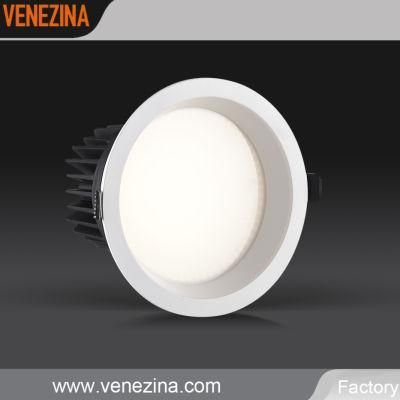 Directly From Factory with Competitive Price COB Ceiling Light LED Down Light