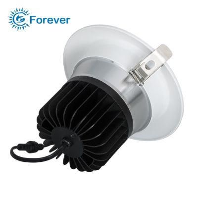 Standard Simple Design 30W Fixed LED Downlight