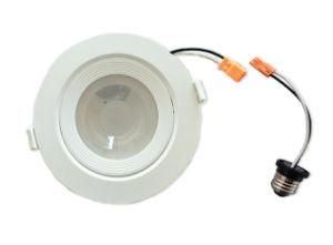 LED Down Light