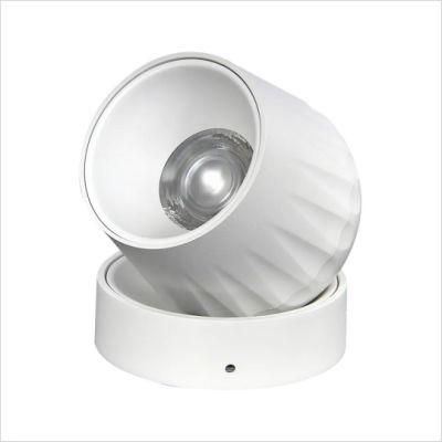 Adjustable Ceiling Spot Downlight 15W COB Surface Mounted Foldable LED Downlight