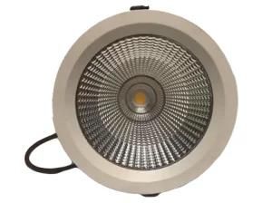 LED Spot Ceiling Light Spot 30W LED Spot Light Down Light