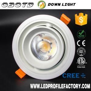 030td LED Downlight Retrofit 12 Watt LED Downlight