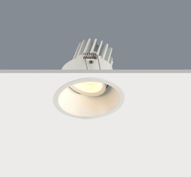 R6866 6W10W Cast Aluminum COB LED Adjustable Indoor LED Spotlight