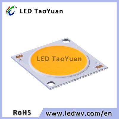 24*24/21mm 20W COB LED Chip for Ceiling Light