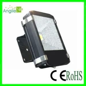 LED Outdoor Light (30W-70W)