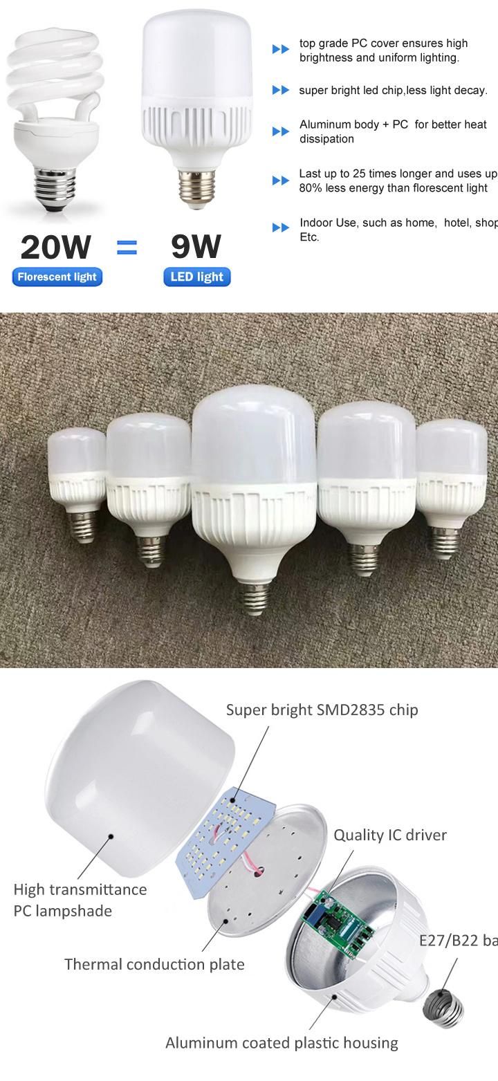 European Hot Sell Aluminum Coating Project 30W 40W 50W 60W LED T Bulb